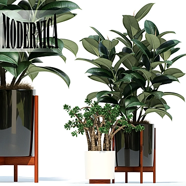 Elevate your space - 72 Modernica plant pots 3D model image 1 