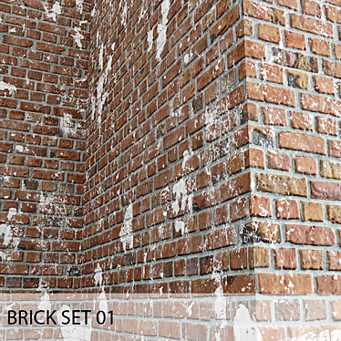 Brick Set 01
Unique Title: Weathered White Brick Set 3D model image 1 