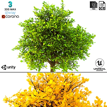 3D Bush No. 2 Model Kit 3D model image 1 