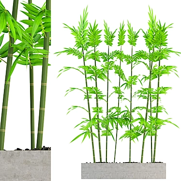 Tall Indoor Plant: 1800 mm 3D model image 1 