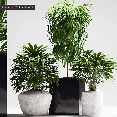 Lush Greenery Collection 3D model image 1 