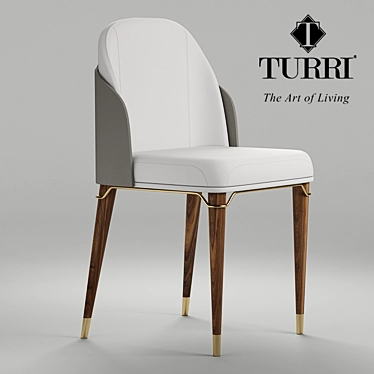 Eco-Style Art Nouveau Chair 3D model image 1 