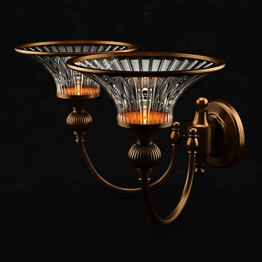 Elegant Brass Wall Lamp 3D model image 1 