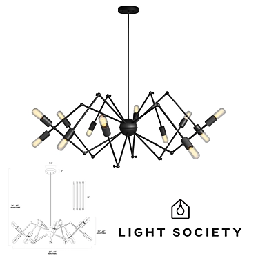 Light Society 12-Light Arachnid Chandelier (LS-C111-BLK)