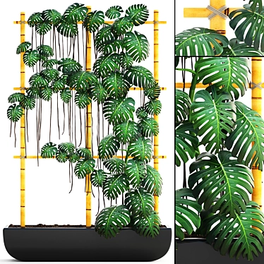 Monstera Vertical Garden: Decorative Bush in Pot 3D model image 1 