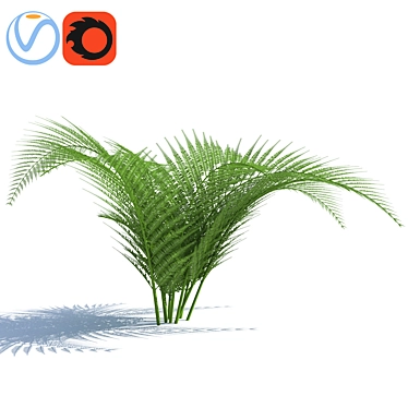  Breezy Fern - Lifelike Wind Effect 3D model image 1 