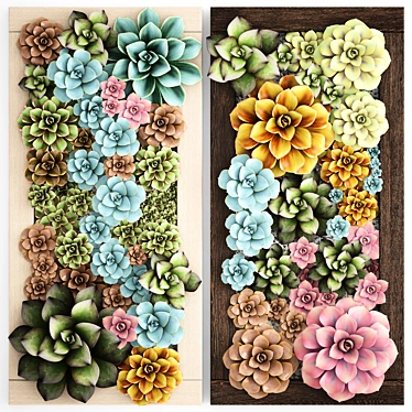 Echeveria Vertical Garden: Succulent Phytomodule 3D model image 1 