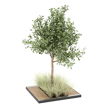 Versatile Tree Model Collection 3D model image 1 