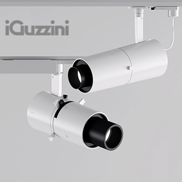 iGuzzini Palco Framer: Perfect Targeted Lighting 3D model image 1 