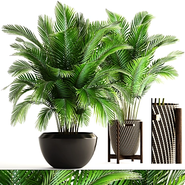 Tropical Paradise: Areca Palm Collection 3D model image 1 