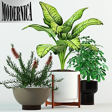 Modernica Pots Collection 3D model image 1 