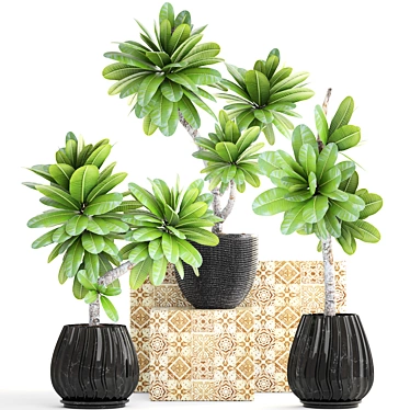 Exquisite Frangipani Plant 3D model image 1 