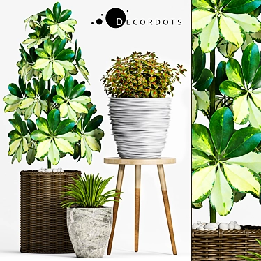 Green Oasis: Decorative Planters Set 3D model image 1 