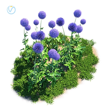 Botanical Bliss: Echinops Banaticus 3D model image 1 