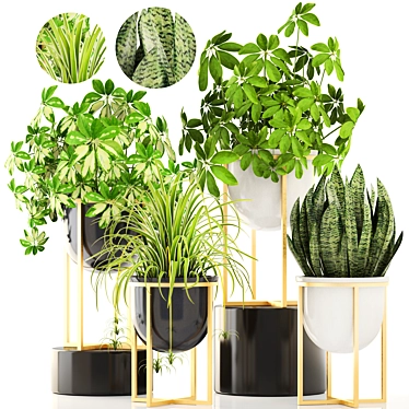 Luxury Indoor Plant Collection 3D model image 1 