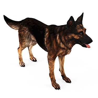 Loyal German Shepherd Companion 3D model image 1 