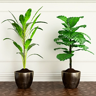 Lush Greens: 20 Incredible Plants 3D model image 1 