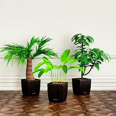 Green Oasis: PLANTS 22 3D model image 1 
