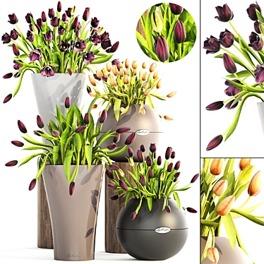 Tulip Collection in Lechuza Pots 3D model image 1 