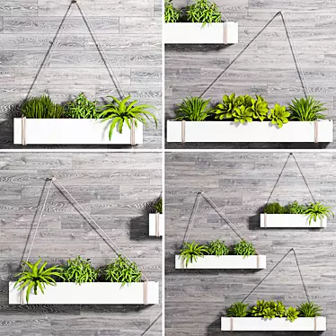  Boho Hanging Plant Box Set 3D model image 1 