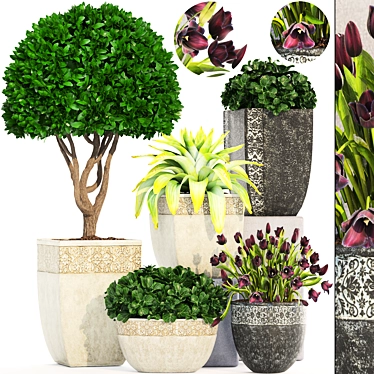193 Plant Collection - Capi Europe Pots 3D model image 1 