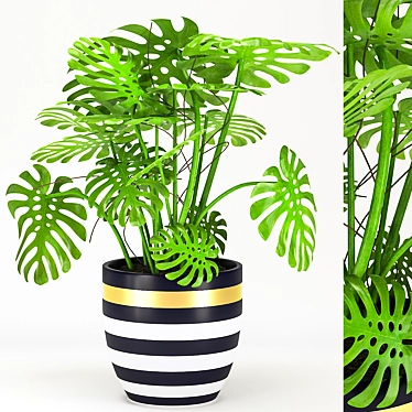 Monstera in Stylish Pot 3D model image 1 