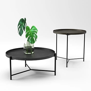 Bronson Coffee & Side Table + Monstera Plant 3D model image 1 