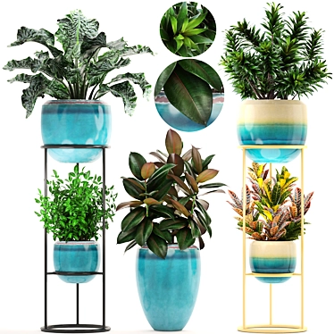 Tropical Plant Collection: Croton, Codiaeum, Dracaena, Alocasia, Ficus, Tradescantia 3D model image 1 