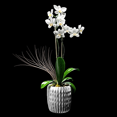 White Orchid Flower Decorative Pot 3D model image 1 