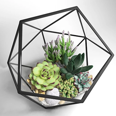 Mini Icosahedron Florarium 3D model image 1 