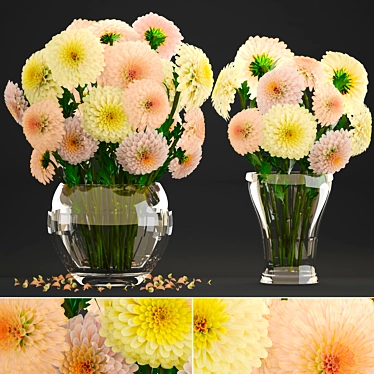 Elegant Dahlias Collection: Beautiful Spring Flowers 3D model image 1 