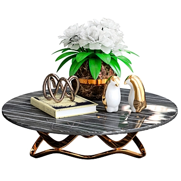 Rustic Elegance: Coffee Table Decor Set 3D model image 1 