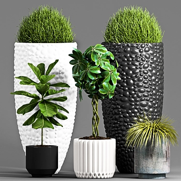 Botanical Bliss: Decorative Plant Set 3D model image 1 