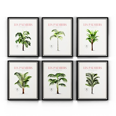 Set of vintage posters "Palms"