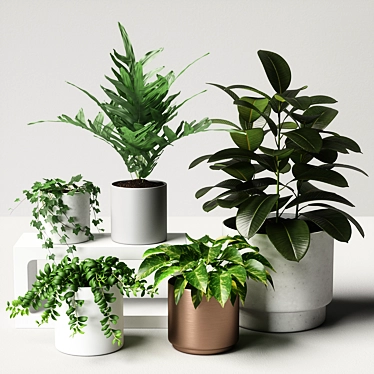 Versatile 3D Plant Collection 3D model image 1 