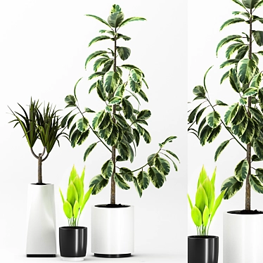 Elegant Indoor Plants Set 3D model image 1 