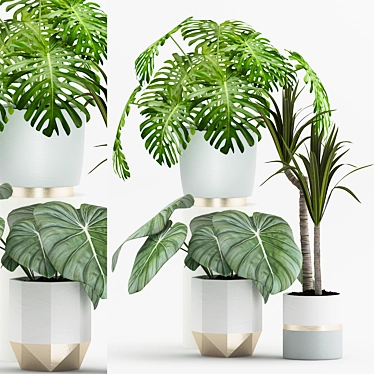 Tropical Plant Collection with Metal Pot 3D model image 1 