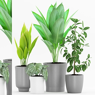 Modern Indoor Plant Collection 3D model image 1 