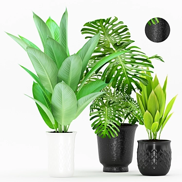 Tropical Greenery in Modern Pot 3D model image 1 