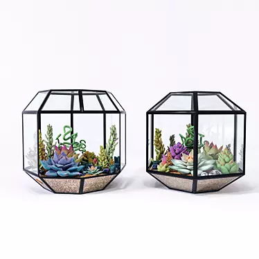 Colorful Succulents in Florarium 3D model image 1 