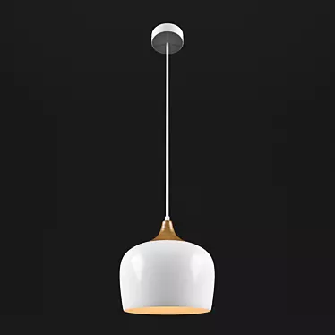 Modern Italux Britta Ceiling Lamp 3D model image 1 