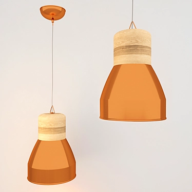 Bronze Pendant Light 3D model image 1 