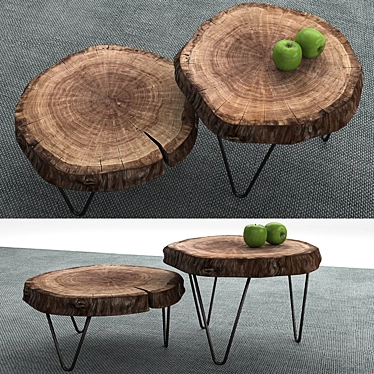 Natural Wood Slice Tables Set 3D model image 1 