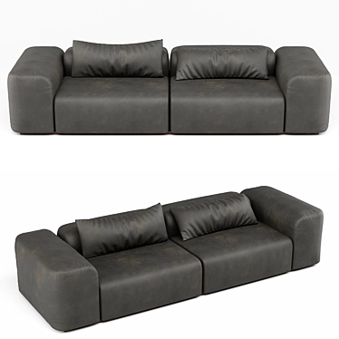 Modern leather sofa