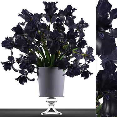 Midnight Blooms: Black Iris Collection 3D model image 1 