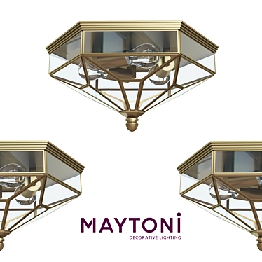 Maytoni Zeil House Wall-Ceiling Lamp 3D model image 1 