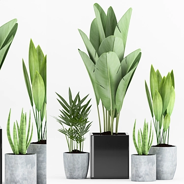 Tropical Greenery Collection: Aspidistra, Sansevieria & More 3D model image 1 