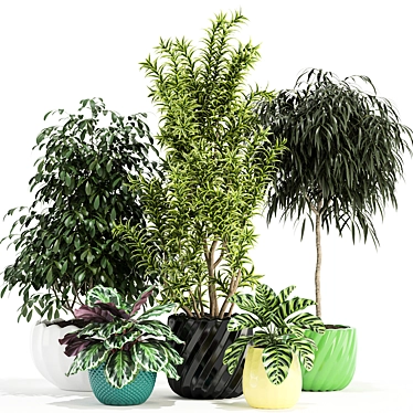 111 Unique Plants Collection 3D model image 1 