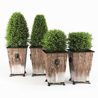Elegant Boxwood Topiary - Perfect for Any Space 3D model image 1 