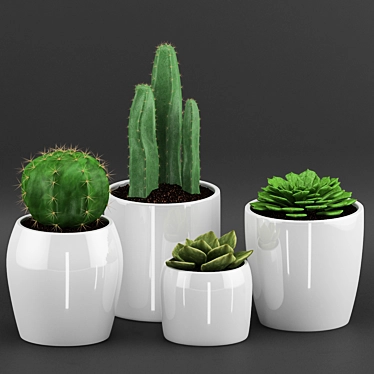 Elegant Cactus & Succulent Set 3D model image 1 